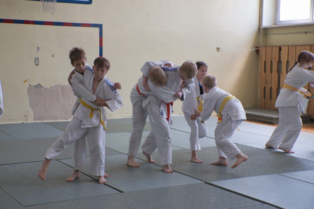 Na zdjęciu widzimy salę gimnastyczną na której są przedstawione chwyty karate przez uczniów