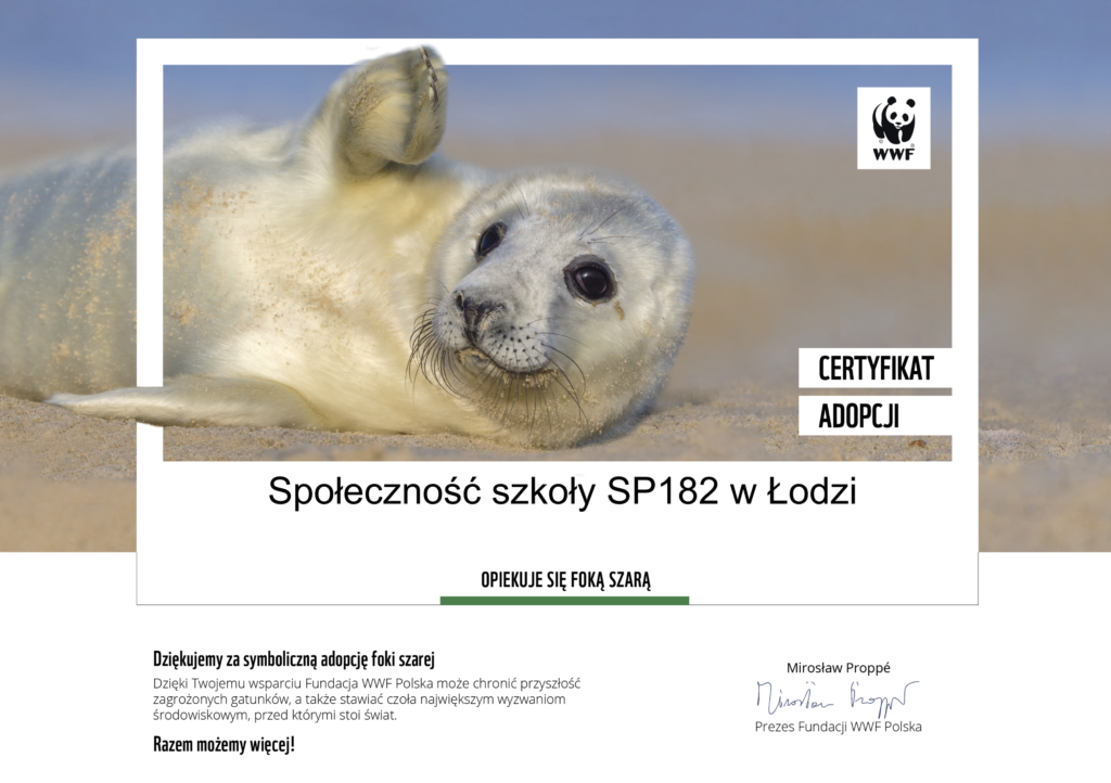 plakat przedstawia certyfikat adopcji zdjęcie machającej foku z napisem Społeczność szkoły SP182 w Łodzi opiekuje się foką szarą.