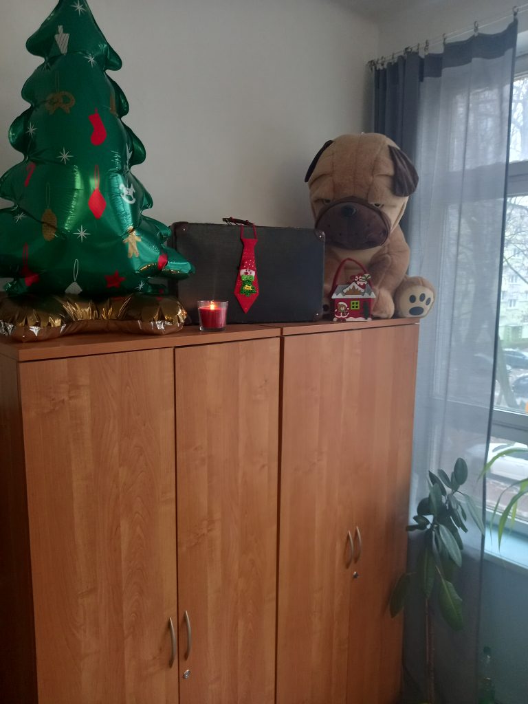 widać choinkę na szafie