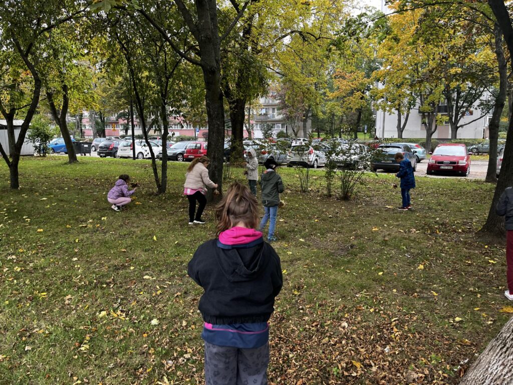 dzieci zbierają liście kolorowe