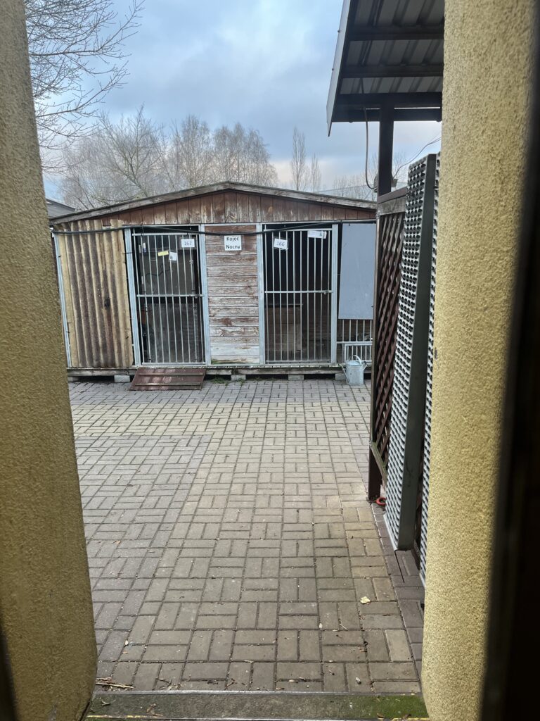 Zdjęcie przedstawia kojec dla psów. 