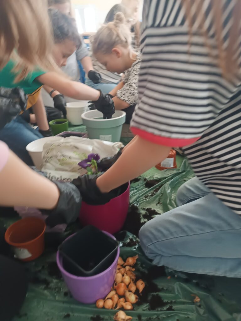 zdjęcie jak dzieci sadzą sadzonki w doniczkach