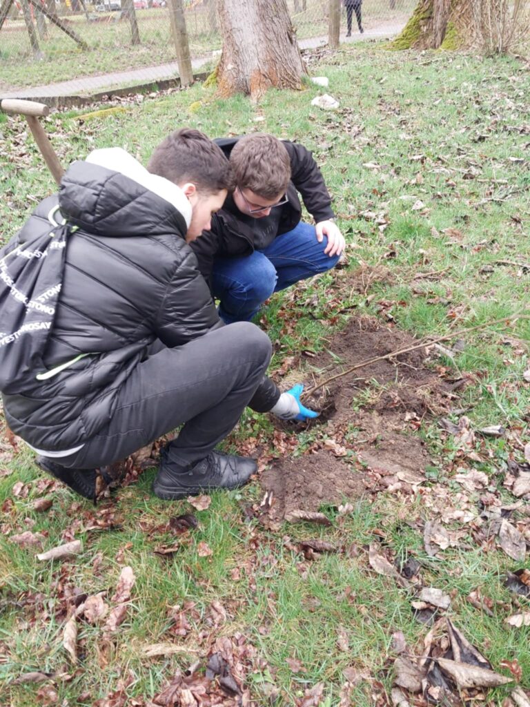 na zdjęciu widzimy jak chłopcy sadzą drzewko