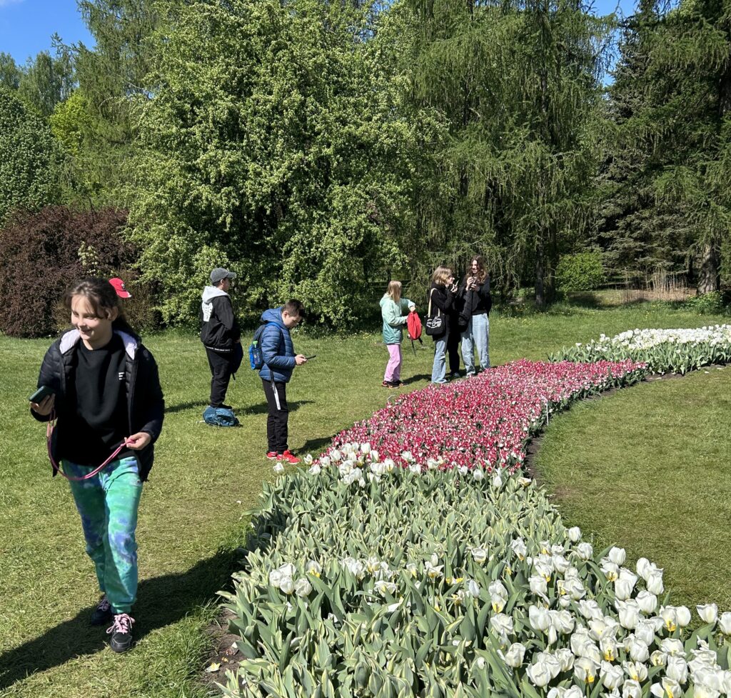Dzieci oglądają kolorowe tulipany, które są ułożone w pasy, w kręgi złożone z tulipanów o różnym kolorze, w różnych odmianach
