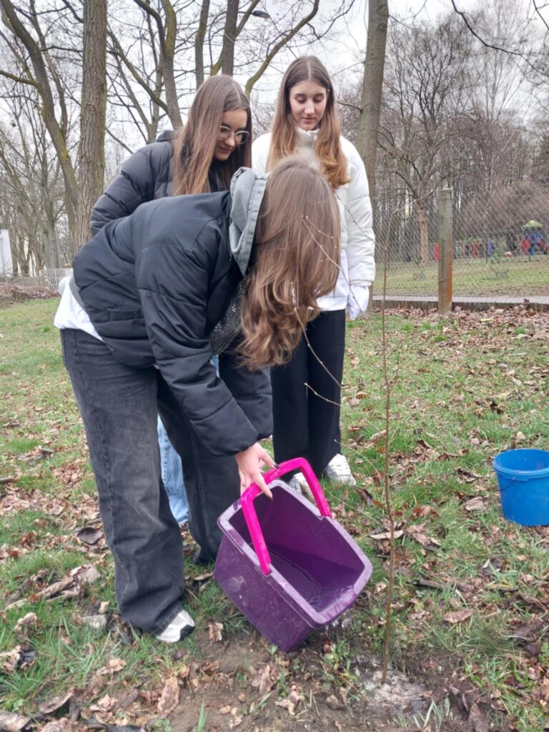 na zdjęciu widzimy jak dziewczynki podlewają drzewko