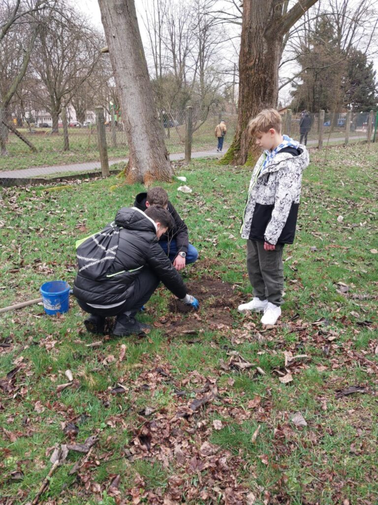 na zdjęciu widzimy jak chłopcy sadzą drzewko