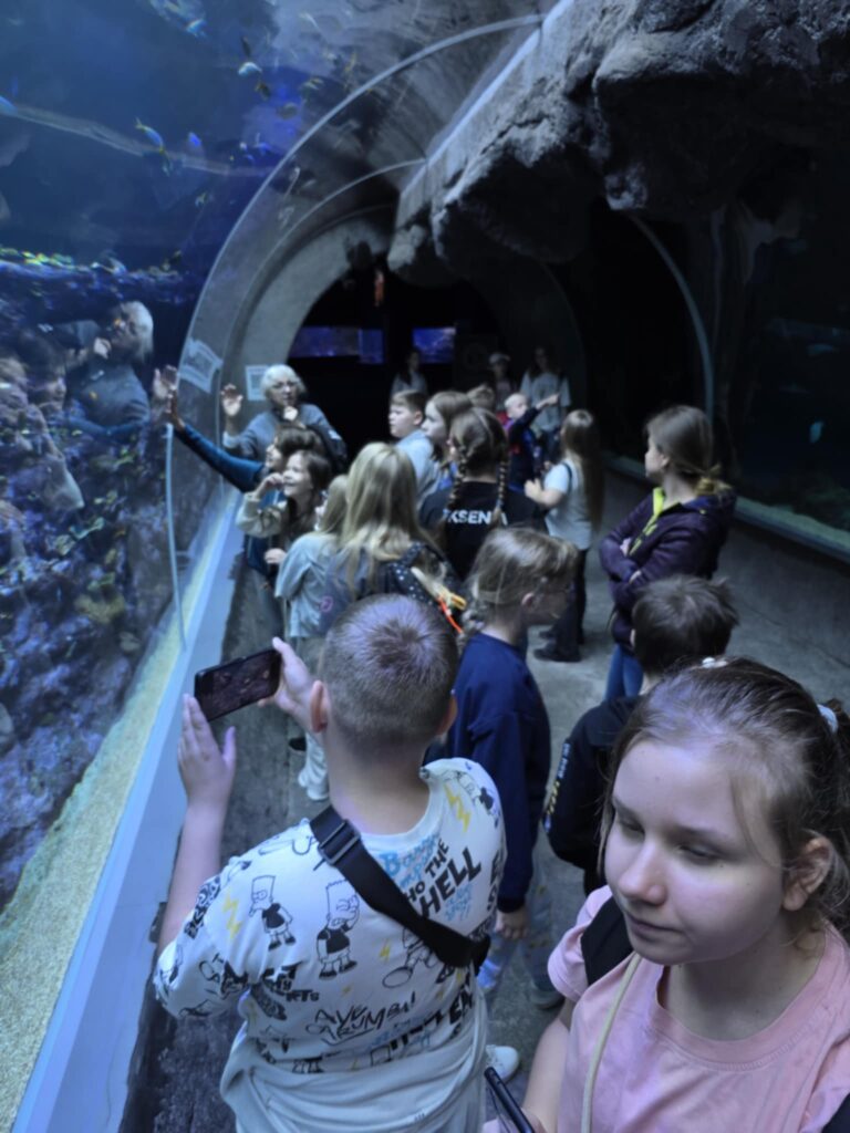 dzieci robią zdjęcia w akwarium w orientarium