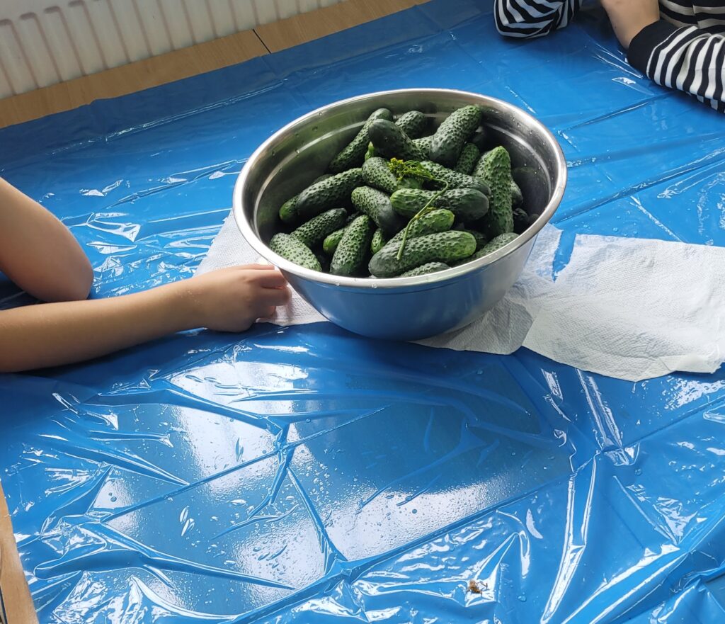 zdjęcie umytych ogórków w misce