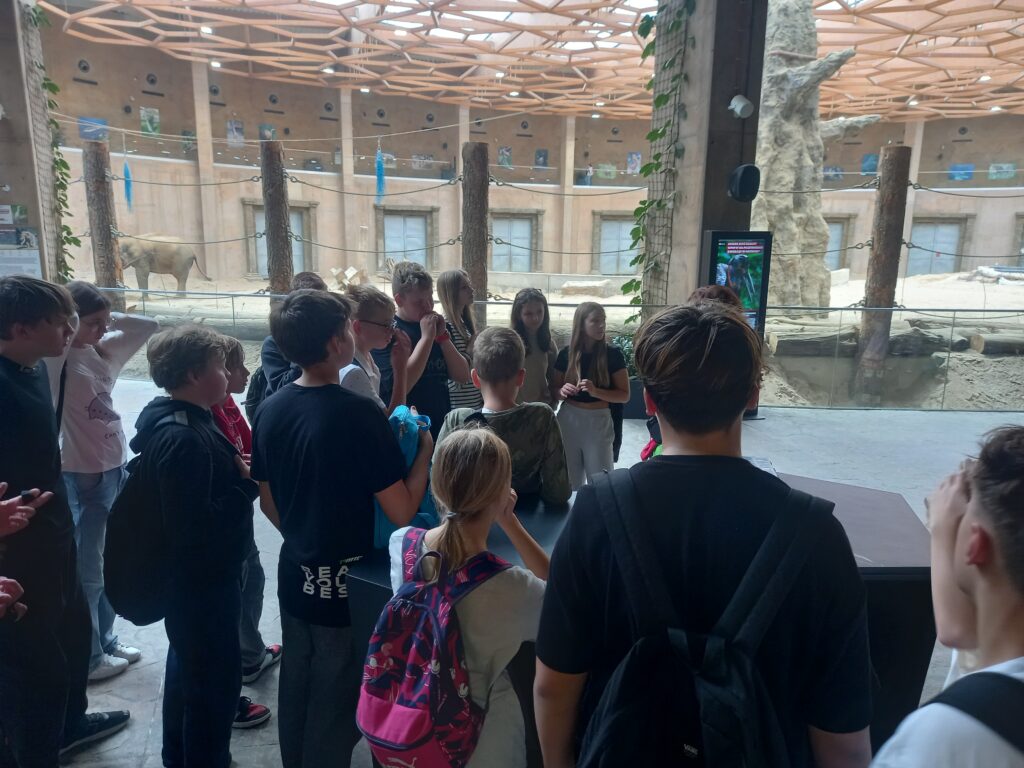 dzieci stoją przed wybiegiem słoni, słuchają przewodnika