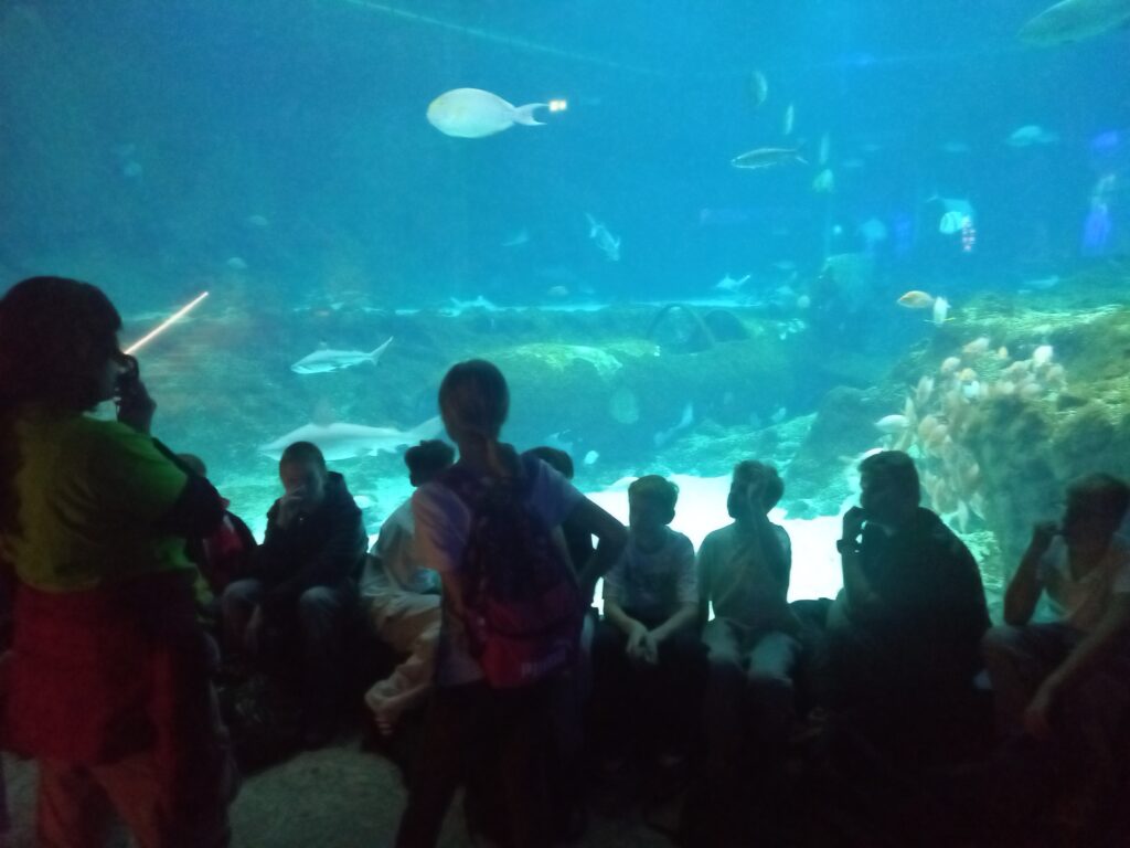 zdjęcie dzieci na tle ryb pływających w oceanarium 