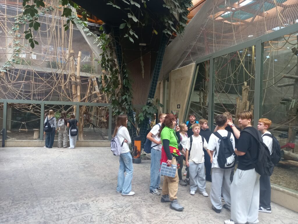 dzieci stoją na placu w Zoo