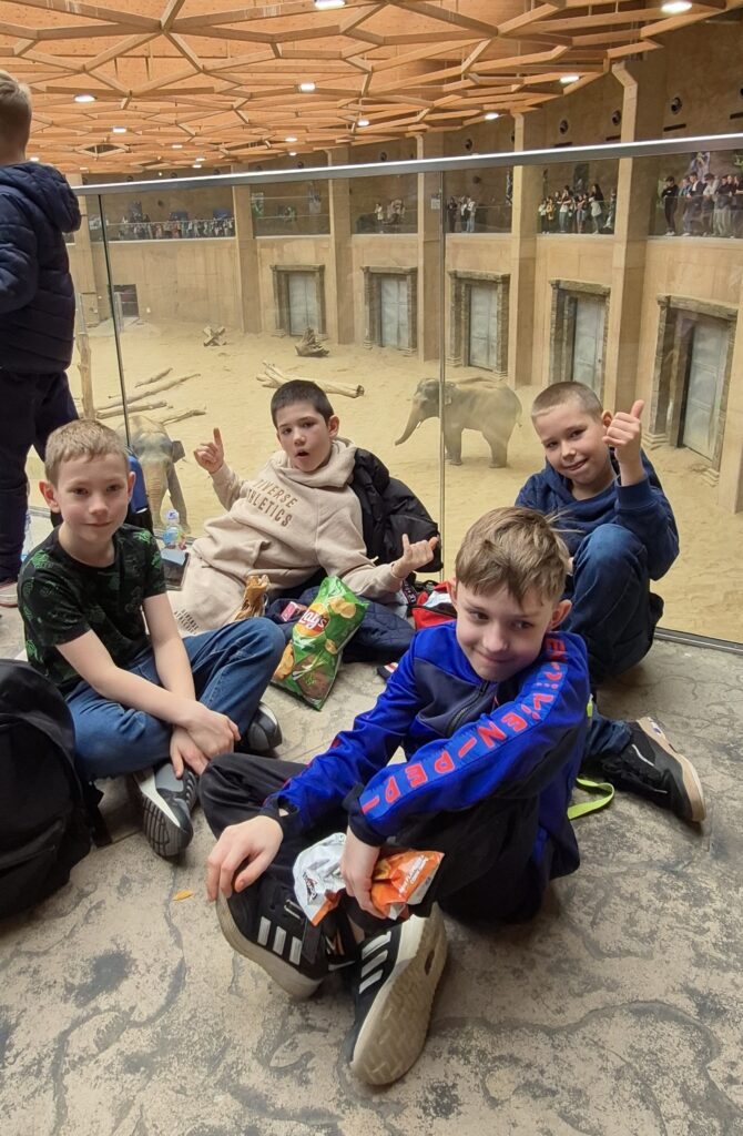 chłopcy z 3c siedzą przed słoniami