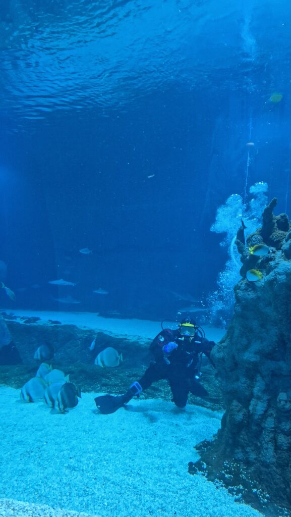 podwodny świat nurek