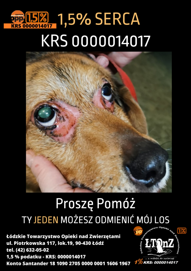 plakat z numerem krs na pomoc zwierzętom 