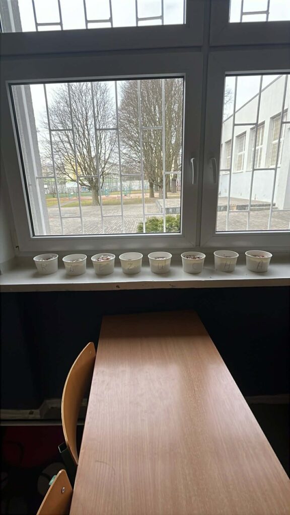 8 pojemników w których jest zasadzona rzeżucha 