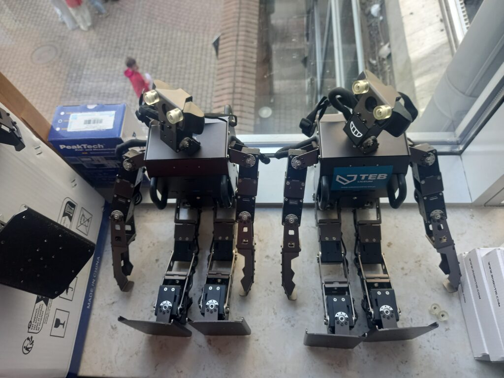 zdjęcie dwóch robotów