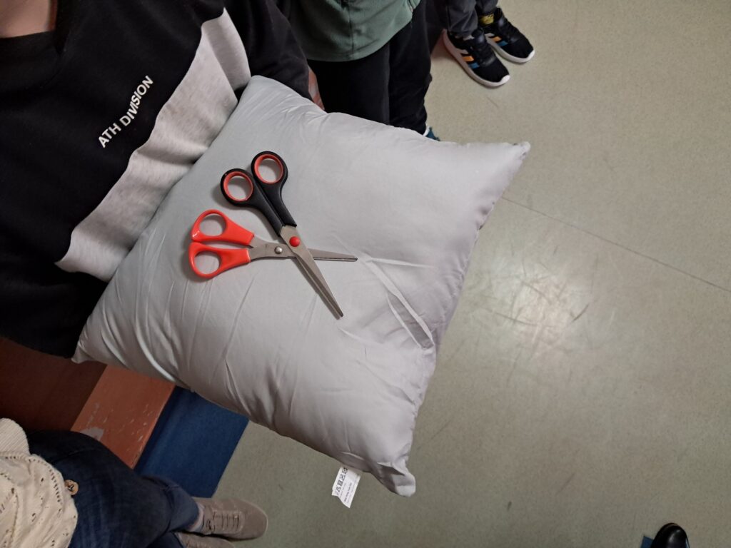 Na zdjęciu widać nożyki ułożone na poduszce. 