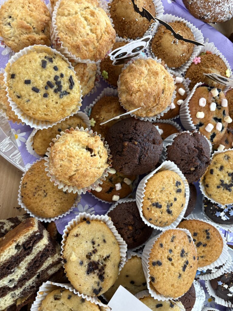 zdjęcie babeczek z czekoladą, czekoladowych, z jagodami