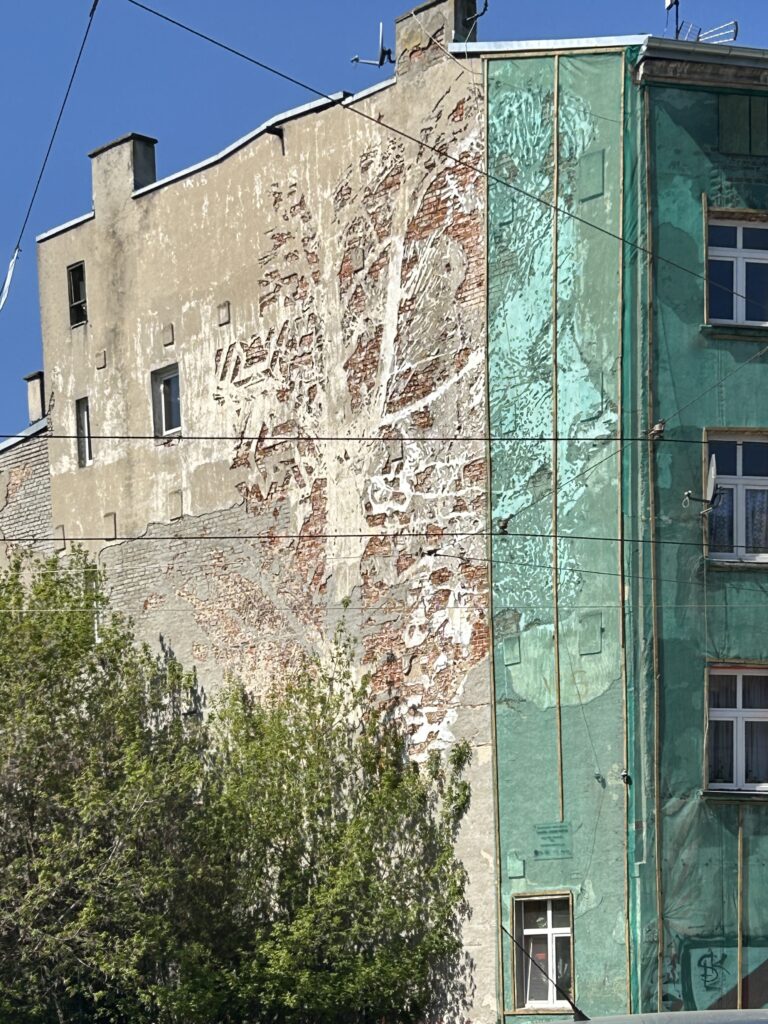 na dachu budynku rzeźba konia (ul. Kopernika)8255-mural na budynku, przedstawia drzewo i głowę wpisaną w drzewo  (ul. Kopernika) - płaskorzeźba w ścianie